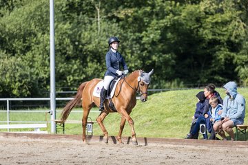 Bild 393 - Pony Akademie Turnier